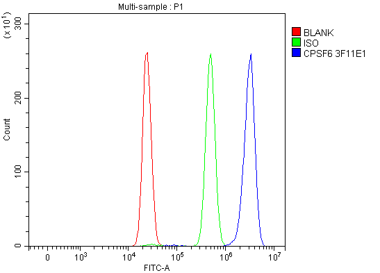 WB - Anti-CPSF6 Antibody Picoband™ (monoclonal, 3F11E1) ABO16592
